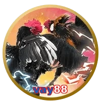 vay88