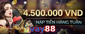vay88